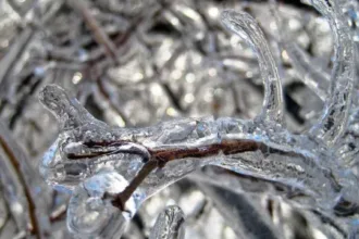 previsao-diz-que-ha-chance-de-neve-no-brasil-neste-fim-de-semana