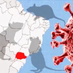 parana-confirma-dois-casos-de-hantavirus-e-investiga-outros-11.-video