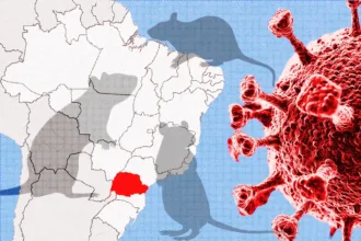 parana-confirma-dois-casos-de-hantavirus-e-investiga-outros-11.-video