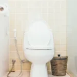 nao-e-o-vaso:-estes-objetos-da-sua-casa-podem-ser-mais-sujos-do-que-voce-imagina