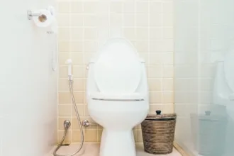 nao-e-o-vaso:-estes-objetos-da-sua-casa-podem-ser-mais-sujos-do-que-voce-imagina