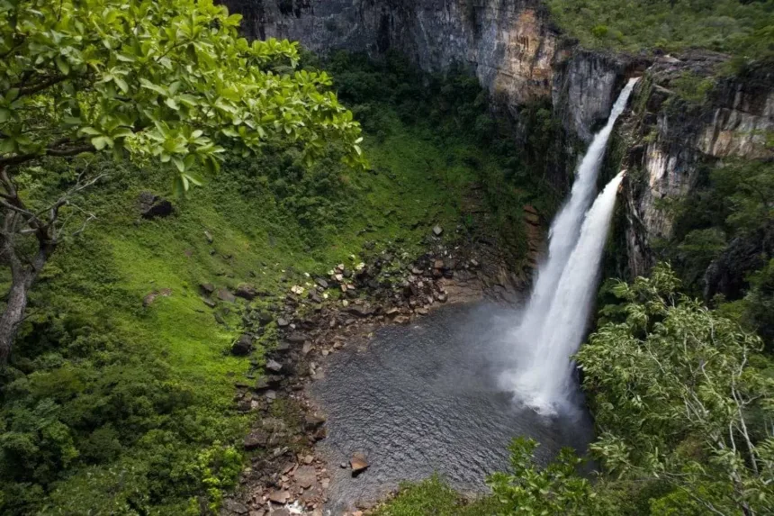 chapada-dos-veadeiros-ganha-trilha-noturna-inedita;-veja-regras,-valores-e-como-participar