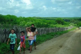 desenrola-rural-amplia-descontos-de-ate-96%-para-agricultores-familiares-ate-dezembro