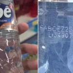 fiscais-apontam-falhas-sanitarias-e-bacteria-e-detectada-duas-vezes-em-produtos-ype-em-fabrica-de-amparo
