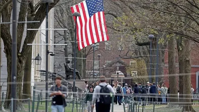 plataforma-educacional-usada-em-harvard-e-johns-hopkins-sofre-ataque-hacker
