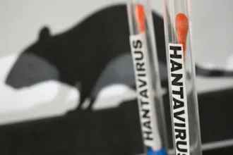 parana-confirma-dois-casos-de-hantavirus-e-investiga-outros-11