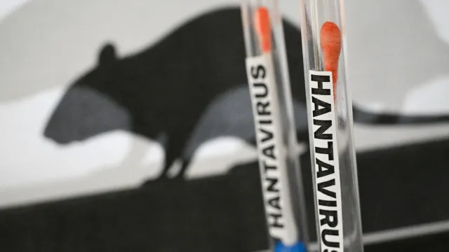 parana-confirma-dois-casos-de-hantavirus-e-investiga-outros-11