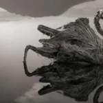 lago-natron-transforma-animais-em-mumias-naturais-por-ciclos-extremos-de-evaporacao