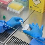 minas-gerais-confirma-primeira-morte-por-hantavirus-em-2026-–-agencia-brasil