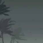 fortes-chuvas-no-norte-e-nordeste-e-ventania-no-sul