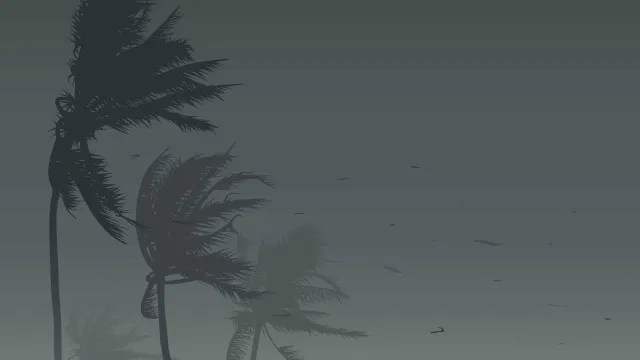 fortes-chuvas-no-norte-e-nordeste-e-ventania-no-sul