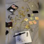operacao-mira-“piratas-de-shopping”-que-furtaram-r$-500-mil-de-joalheira-em-goiania