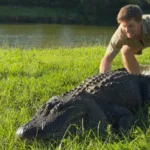 robert-irwin-sobrevive-a-ataque-de-crocodilo-de-14-metros-nomeado-apos-jimmy-fallon
