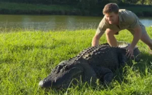 robert-irwin-sobrevive-a-ataque-de-crocodilo-de-14-metros-nomeado-apos-jimmy-fallon