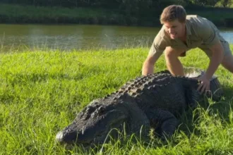 robert-irwin-sobrevive-a-ataque-de-crocodilo-de-14-metros-nomeado-apos-jimmy-fallon
