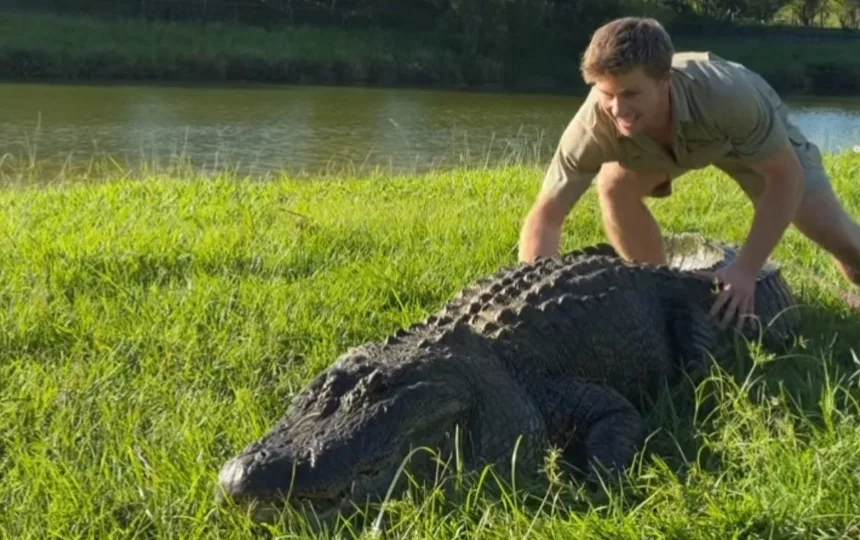robert-irwin-sobrevive-a-ataque-de-crocodilo-de-14-metros-nomeado-apos-jimmy-fallon