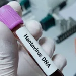 ushuaia-nega-participacao-em-surto-de-hantavirus-em-navio-holandes