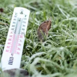 temperatura-de-4,61°c-em-santa-catarina-quebra-recorde-de-frio-em-2026