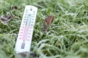 temperatura-de-4,61°c-em-santa-catarina-quebra-recorde-de-frio-em-2026