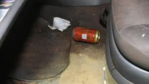 policia-prende-motorista-suspeito-de-matar-jovem-na-go-330-e-fugir