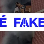 e-#fake-video-de-cao-policial-salvando-shih-tzu-de-predio-em-chamas;-cena-foi-criada-com-inteligencia-artificial