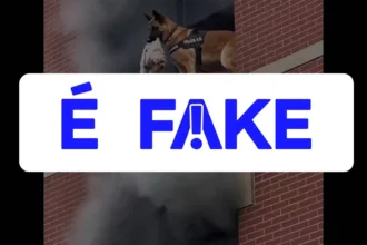 e-#fake-video-de-cao-policial-salvando-shih-tzu-de-predio-em-chamas;-cena-foi-criada-com-inteligencia-artificial