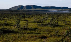 acao-do-mp-pode-barrar-plano-do-governo-de-goias-para-mineracao-na-chapada-dos-veadeiros;-entenda