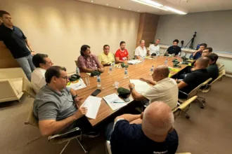com-inicio-no-fim-de-julho,-divisao-de-acesso-do-goianao-sera-disputada-em-pontos-corridos