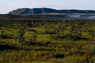 acao-do-ministerio-publico-pode-barrar-planos-de-mineracao-na-chapada-dos-veadeiros