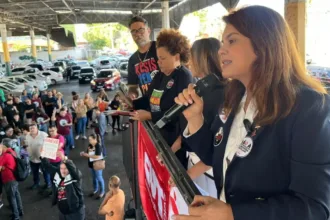 greve-da-educacao-nao-deve-chegar-ao-fim-antes-de-retorno-de-mabel,-avalia-sintego