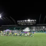 onde-vai-passar-palmeiras-x-cruzeiro-pelo-brasileirao?-como-assistir-ao-vivo-–-uol