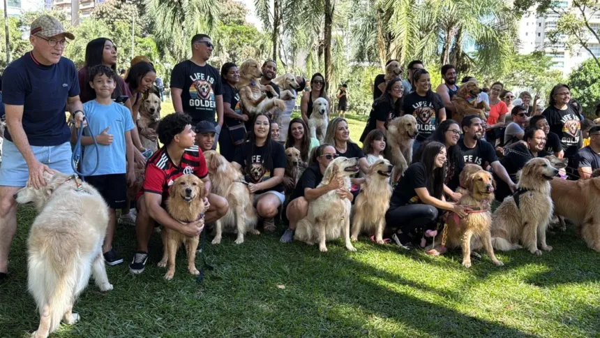 80-golden-retrievers-se-reunem-no-parque-flamboyant,-em-goiania