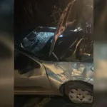 motorista-morre-apos-carro-sair-de-pista-e-capotar-na-go-431,-proximo-a-pirenopolis