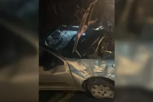 motorista-morre-apos-carro-sair-de-pista-e-capotar-na-go-431,-proximo-a-pirenopolis
