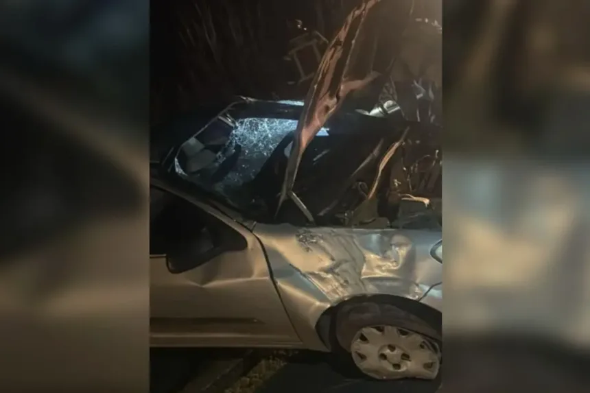 motorista-morre-apos-carro-sair-de-pista-e-capotar-na-go-431,-proximo-a-pirenopolis