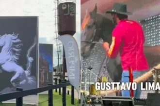 piloto-mostra-como-foi-o-leilao-jbj-em-nazario:-“festinha-no-goias”;-assista-ao-video