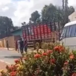 caminhao-de-gado-perde-controle-e-invade-casas-em-brazabrantes