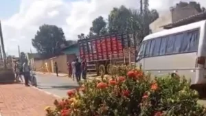 caminhao-de-gado-perde-controle-e-invade-casas-em-brazabrantes