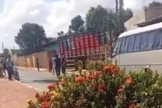caminhao-de-gado-perde-controle-e-invade-casas-em-brazabrantes