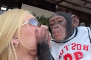 ‘que-pegada’:-virginia-beija-macaco-na-boca-em-dubai
