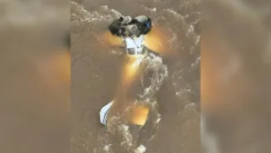 inteligencia-da-pf-em-goias-identifica-voo-com-skunk-e-aviao-e-interceptado-em-boa-vista