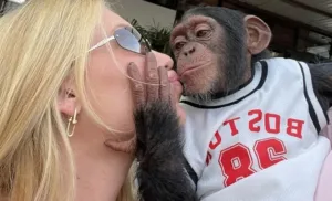 virginia-e-criticada-ao-beijar-macaco-dias-apos-termino-com-vini-jr:-“ela-e-problematica”