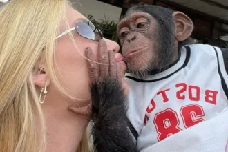 virginia-e-criticada-ao-beijar-macaco-dias-apos-termino-com-vini-jr:-“ela-e-problematica”