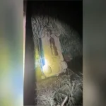 motorista-e-encontrado-morto-apos-carro-cair-de-ponte-em-formosa