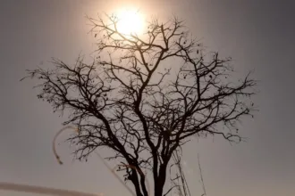 goias-registra-manha-fria,-mas-calor-deve-predominar-na-tarde-desta-quarta(20/5)