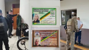 falsos-agentes-de-ong-sao-alvo-de-operacao-por-extorquir-comerciantes-em-goias