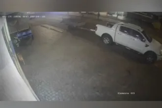 caramelo-‘furta’-chave-de-caminhonete-e-deixa-prejuizo-de-r$-1-mil-em-buriti-alegre;-video