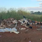 ‘urubus-tomaram-conta’:-moradores-denunciam-descarte-irregular-de-lixo-no-setor-recreio-dos-funcionarios-publicos