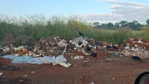 ‘urubus-tomaram-conta’:-moradores-denunciam-descarte-irregular-de-lixo-no-setor-recreio-dos-funcionarios-publicos