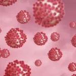 norovirus-e-hantavirus:-entenda-diferencas-e-qual-preocupa-mais